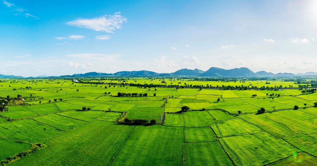 Działki pod budowę domu